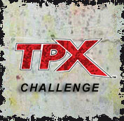 Tippmann TPX Challenge at D-Day
